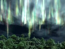 Aurora over the Trees Stock Footage