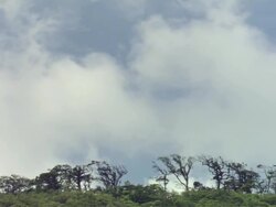 MS T/L View of Clouds moving over forest / Guanacaste, Costa Rica Stock Footage