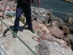 Untangling Coiled Cable Stock Footage