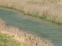 HD: Narrow creek Stock Footage