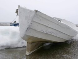 Waiting for spring Stock Footage