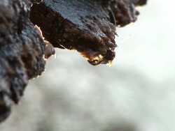 HD: Water drops Stock Footage