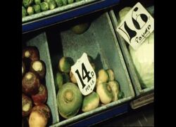 ROVING REPORT 8145B: BRITAIN: THE LEAD POISON PROBLEM News Clip