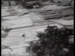 B/W air to air F-104 'Starfighter' flying over farmland / Vietnam / 1960's / SOUND Stock Footage