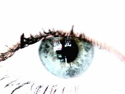 Blue Eye Stock Footage