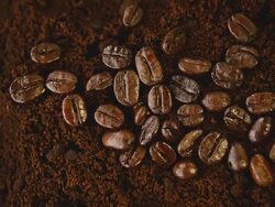 coffee beans on coffee grounds,panning vdo Stock Footage