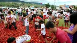 VOICED: Guerra de tomates en Colombia News Clip