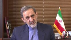 EXCLUSIVE Adviser to Supreme Leader says Iran will never give up nuclear interests News Clip