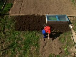HD: Shoveling The Soil Stock Footage