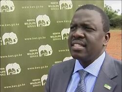 Kenya Wildlife Service calls for ban on world ivory trade News Clip