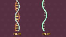 TED-ED: Why do you need to get a flu shot every year? - Melvin Sanicas Instructional Video