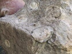 CU Shot of art on pottery / South Of Peru, Nazca, Peru Stock Footage