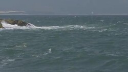 Plastic waste being washed up on HK beach News Clip