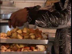 Red pandas bred in captivity reintroduced into the wild News Clip