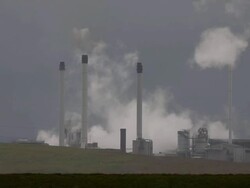 Bird Life At Elmley Marshes Stock Footage