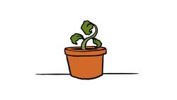 TED-Ed: What would happen if you didn't drink water? - Mia Nacamulli Instructional Video