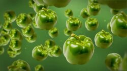 Green bell peppers float on a green background. Stock Footage