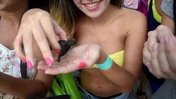 VOICED : Calentamiento amenaza a nidos de tortugas en Panama News Clip