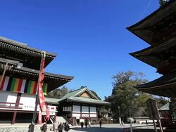 MS PAN Shot of Narita-san Shinsho-ji Temple / Narita, Chiba, Japan Stock Footage