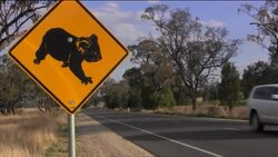 China's economic might divides rural community News Clip