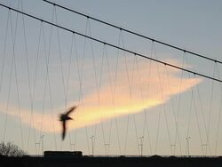 Bosphorus Bridge. Stock Footage