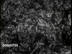 Wool Fibers Get Reused And Put Back In The National Supply News Clip