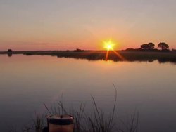 Linyanti Wildlife Reserve News Clip