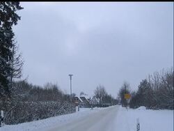 A dog in Germany has given birth to 17 puppies, leaving their owner thrilled but fatigued after having to feed them with a bottle for several weeks because their mother couldn't cope with the demand. News Clip