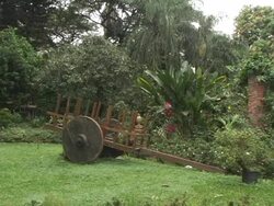 MS, Honduras, Decorated wagon in botanical garden Stock Footage