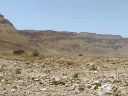 WS PAN Table mountain of Masada in stone desert at Dead Sea / Masada, Mechoz haDarom, Israel Stock Footage