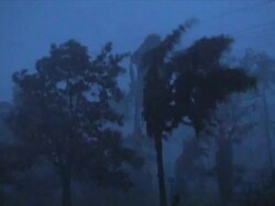 Winds lashes trees, Phillipines Stock Footage