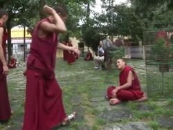 MS Monks performing group exercise in courtyard AUDIO / Dharamsala, Himachal Pradesh, India Stock Footage