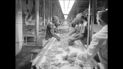 CAN 555 GOVERNOR OF RHODESIA AT OPENING OF TOBACCO FACTORY Instructional Video