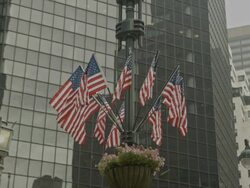 Colored American flags in front of office building Stock Footage