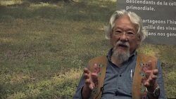 CLEAN : Canada pressed to make clean environment a constitutional right News Clip