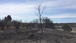 CLEAN : Wildfires tamed in southern France as new blazes feared News Clip