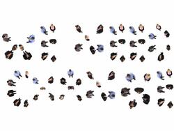 HD: We Need Change Stock Footage