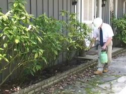 Spraying for Bugs Stock Footage