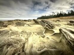 WS T/L View of beautiful sandstone formation sculpted by wind and water / Shore Acres State Park, Oregon, United States Stock Footage