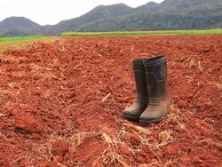 The boot Stock Footage