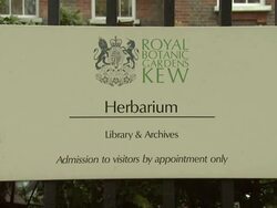 ATMOSPHERE: Kingdom of Plants 3D Interview at  Kew Stock Footage