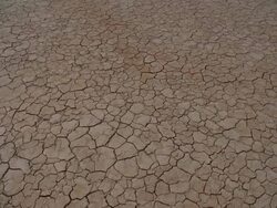  CU Cracks on arid desert ground / Mojave, California, USA Stock Footage
