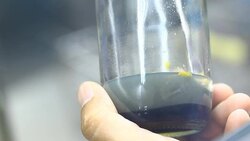 breeding orchid in biotechnology by plant tissue culture Stock Footage