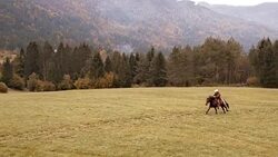 AERIAL Man riding a galloping horse across a meadow Stock Footage