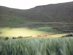 Rural African huts and farm Stock Footage