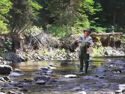 Fly fishing in forest stream Stock Footage