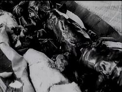 THE COMMONWEALTH TOUR News Clip