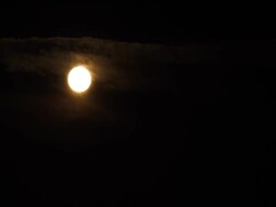 moonset, full moon, NTSC Stock Footage