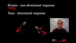AP Biology Lab 11: Animal Behavior Instructional Video