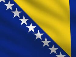 Bosnia and Herzegovina Flag Stock Footage